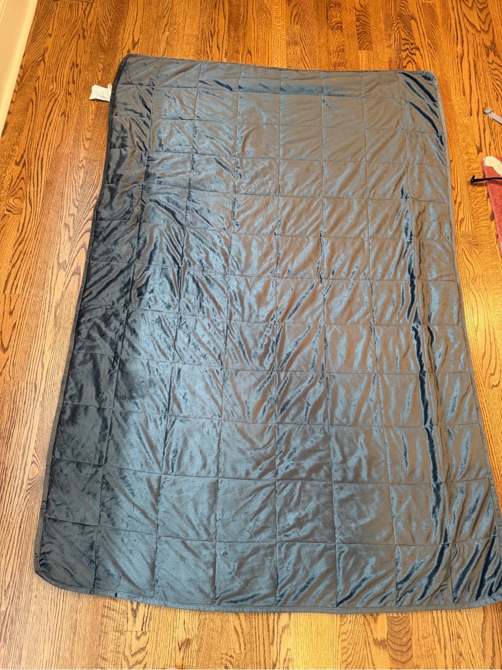 Sutton Home 12 lb Weighted Blanket 48x72 Gray Minky Plush Glass Bead Twin